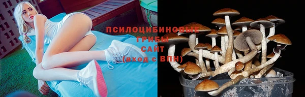 гашиш Бородино