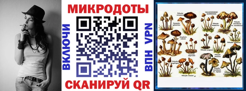 купить наркотик  Меленки  Псилоцибиновые грибы Psilocybine cubensis 